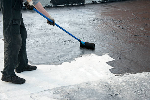 Best Waterproofing & Drywells  in Whitney, NV
